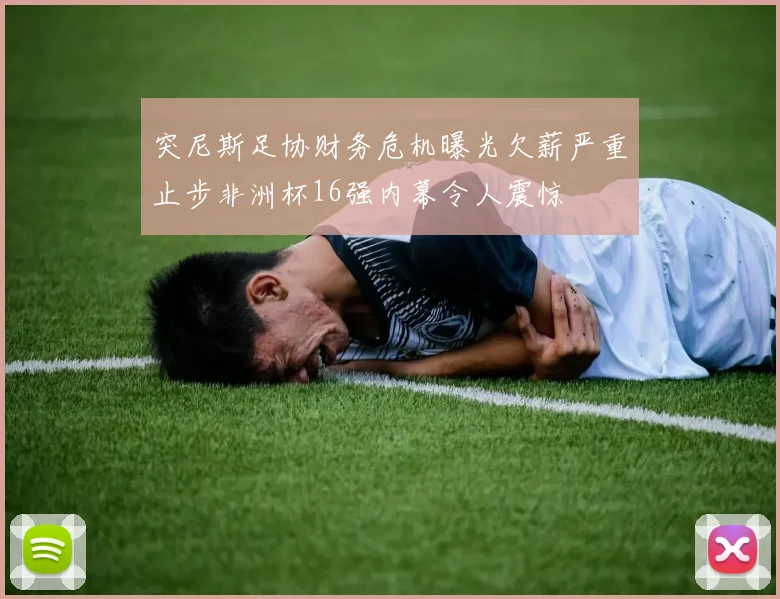 突尼斯足协财务危机曝光欠薪严重止步非洲杯16强内幕令人震惊