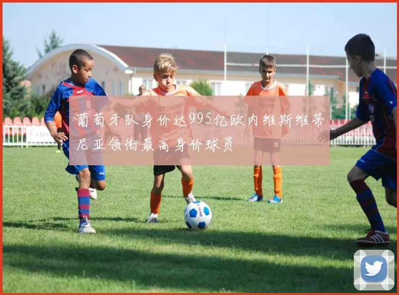 葡萄牙队身价达995亿欧内维斯维蒂尼亚领衔最高身价球员