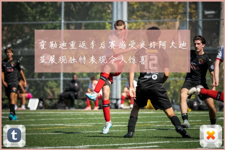 霍勒迪重返季后赛感受良好阿夫迪亚展现独特表现令人惊喜