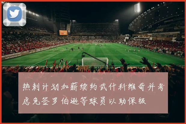 热刺计划加薪续约武什科维奇并考虑免签罗伯逊等球员以助保级