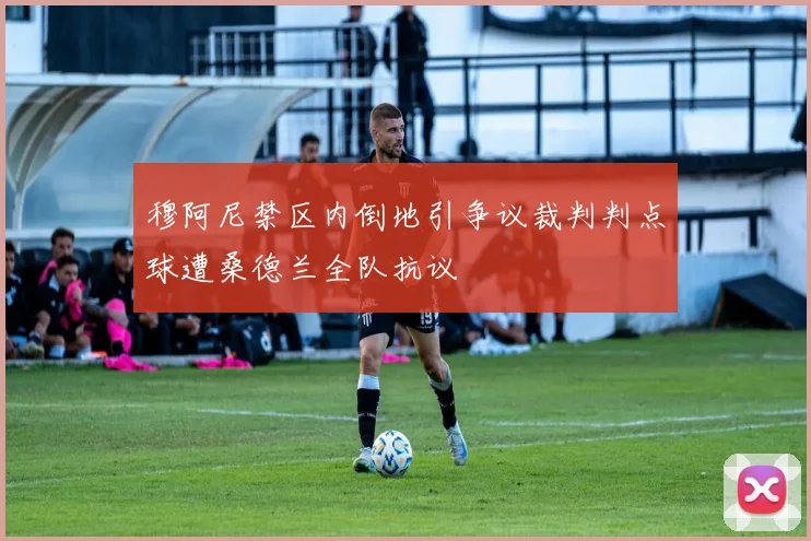 穆阿尼禁区内倒地引争议裁判判点球遭桑德兰全队抗议